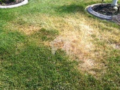1066 SQ YARD Plot In F-7 A Rare Opportunity