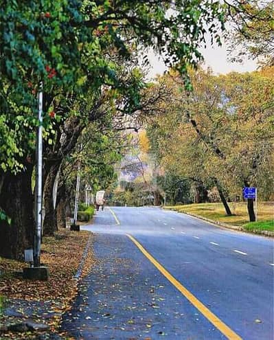 55 X 180 Prime Location Plot Is For SALE