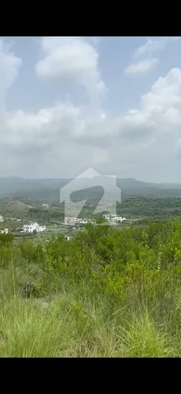 Pakistan Naval Anchorage Farmhouse 5 Kanal Top Hight Farmhouse Land For Sale
