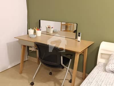 Fully Furnished Luxury Apartment For Rent