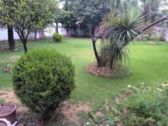Prime Location On Marrgalla Road 1000sqyds In Coming Rent $5000 Only Serious Buyers- Prime Location On Marrgalla Road 1000sqyds In Coming Rent $5000 Only Serious Buyers-