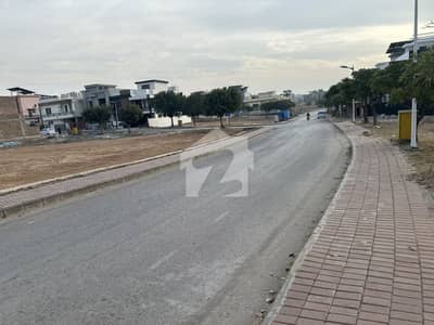 Near To Future School Blvd Category