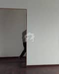 4 4