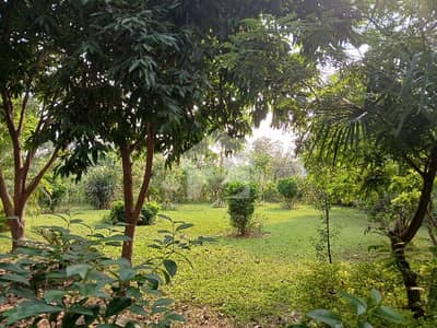 30*50 Cda Transfer Corner With Huge Extra Land Available In G-9/4 Near Park Near Market And Mosque