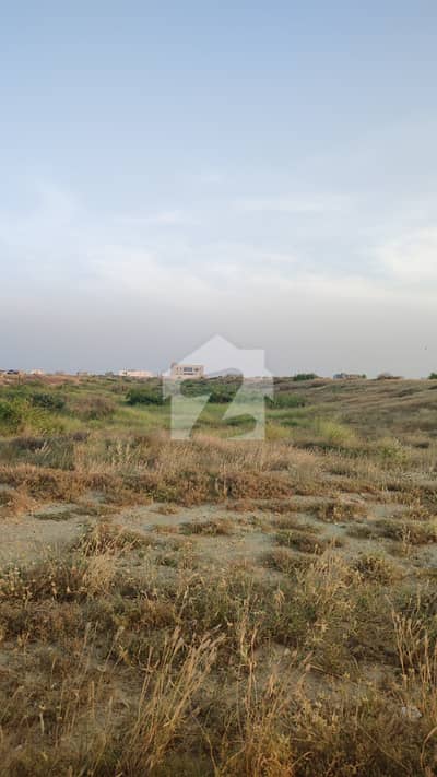 300 Square Yards Residential Plot For Sale Sahil Streets