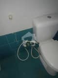 6 6