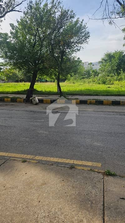 D-12/1 50 Feet Wide Road Elite Location 5 Marla Plot Very Closed To Park And 70 Feet Road Available For Sale