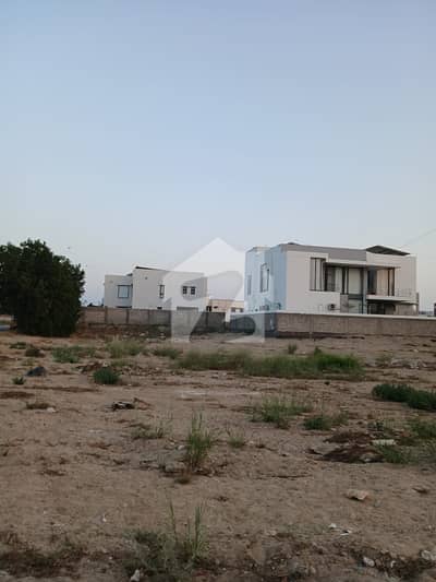 Prime 2000 Yards Residential Plot in Elite Location