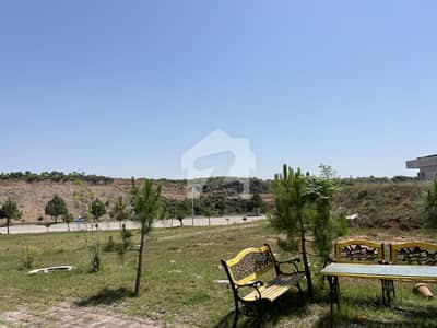 10 Marla Green Open Dead End Plot Near Park