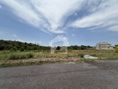 11 Marla Back Open Plot With Extra Land Prime Location