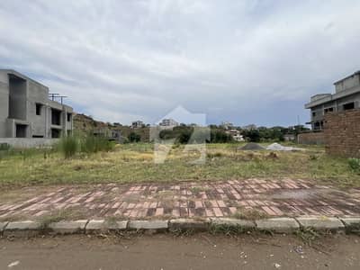Level Solid Plot on Height in Peaceful Dead End Street