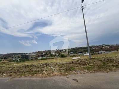 Back Open Top View Plot With Extra Land Investor Rate
