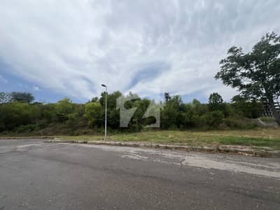 Investor Rate Dead End Plot on 70 Feet Wide Street