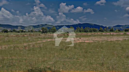 Prime Land for Sale 5,000 Kanal in Domeli, Tehsil Sohawa, District Jhelum