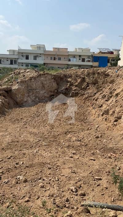 1460 series plot available for sale