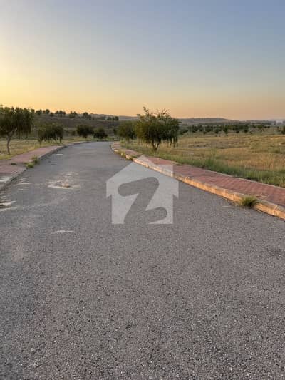 Corner plot for sale in Bluebell sector