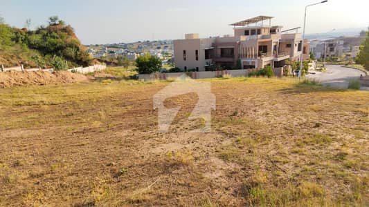 14 Marla Heighted Back Open Plot Available For Sale