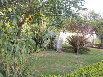 Ideal House Is Available For Sale In Islamabad