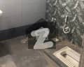 7 7