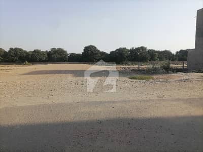 Prime Location 5 Marla Residential Plot For sale In Buch Executive Villas
