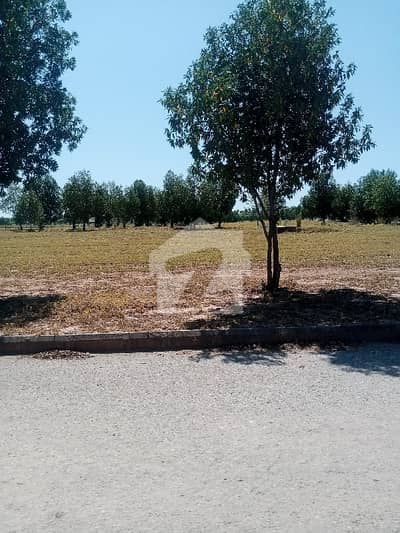 Residential plot available for sale in DHA valley