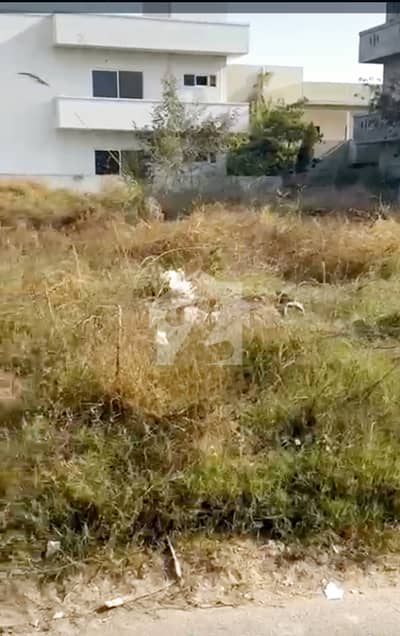 IDEAL CORNER PLOT 60X100 Located Centrally In G-14/4 IDEAL CORNER PLOT 60X100 Located Centrally In G-14/4