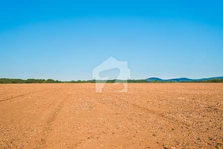 1 KANAL ALLOCATION FILE AVAILABLE FOR SALE 1 KANAL ALLOCATION FILE AVAILABLE FOR SALE