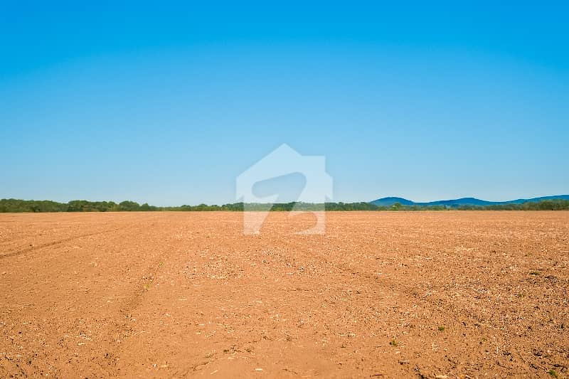 1 KANAL ALLOCATION FILE AVAILABLE FOR SALE 1 KANAL ALLOCATION FILE AVAILABLE FOR SALE