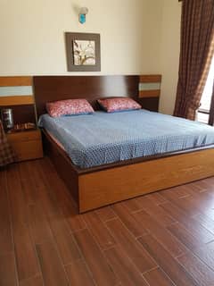 Luxury 100 Sq. Yards 3-Bed House with Basement & Study for Sale
