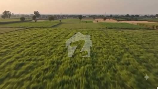 Lahore Organic Farms Society Located on Main Barki Road, Lahore.
