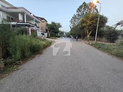 Plot Available For Sale At Best Location