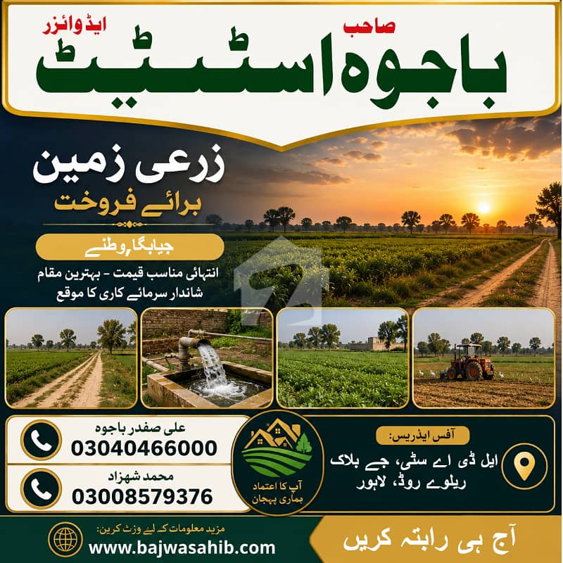 Cheap land for agriculture and farmhouse Cheap land for agriculture and farmhouse