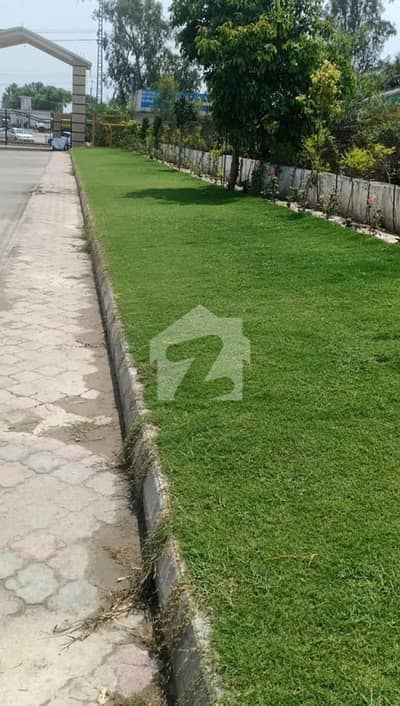 واپڈا ٹاؤن پشاور میں 7 مرلہ رہائشی پلاٹ 37.0 لاکھ میں برائے فروخت۔ واپڈا ٹاؤن پشاور میں 7 مرلہ رہائشی پلاٹ 37.0 لاکھ میں برائے فروخت۔