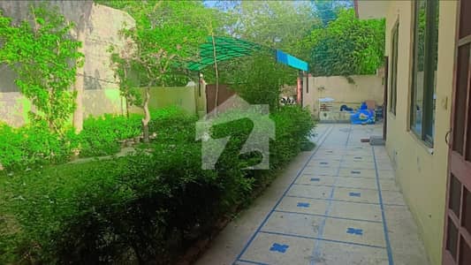 Kanal Single Storey House For Rent. (Only Office Use)