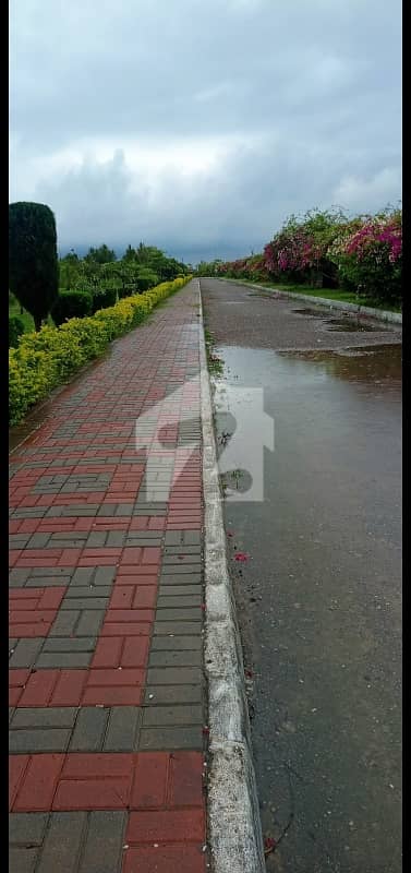 10 Marla West Open Plot On 12 Meter Street Is Available For Sale In Zone 1 At D1 Sector