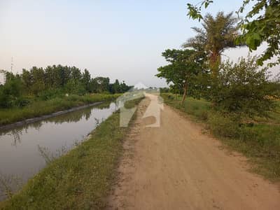 BEST OPERTUINTY 3.5 KANAL CORNER LAND FACING CANAL BEST FOR GOAT FARMING POULTRY FARMING FARMHOUSE MORE DETAILS CONTACT ME