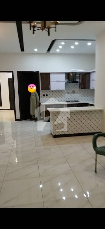 BRAND NEW GROUND + ONE 240 SQYDS INDEPENDANT HOUSE FOR RENT