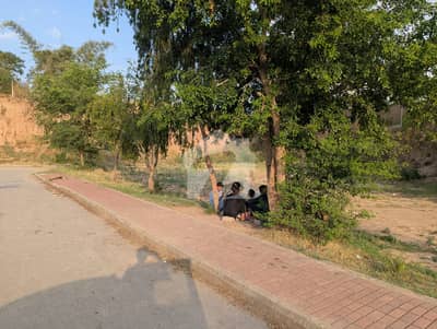 16 Marla Open Transfer Plot 913d Bahria Phase 7
