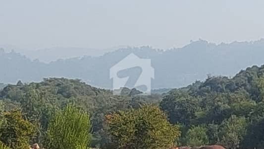 Corner, Level, 5 Kanal Farm for Sale