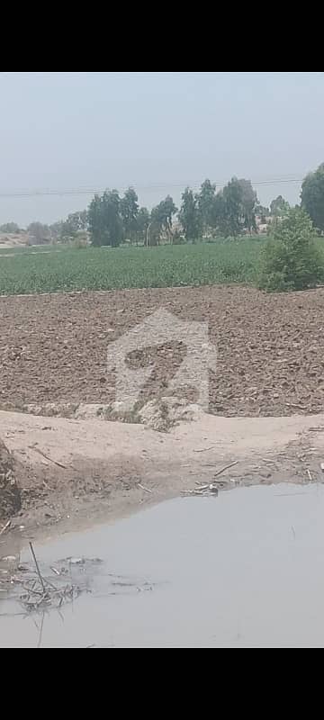 ناردرن بائی پاس ملتان میں 40 کنال زرعی زمین 1.5 کروڑ میں برائے فروخت۔