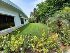 Beautiful House With Big Lawn And Ample Parking For Foreigners For Rent