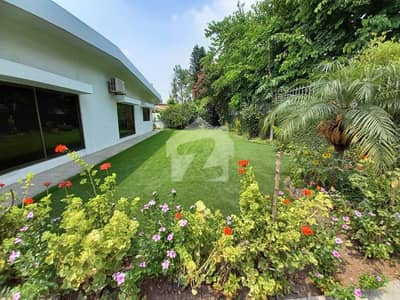 beautiful House With big lawn and ample parking for foreigners