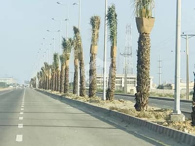 Commercial Plot Is Available For Sale In Chib Rikani