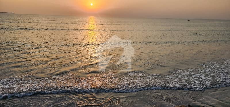 4 4