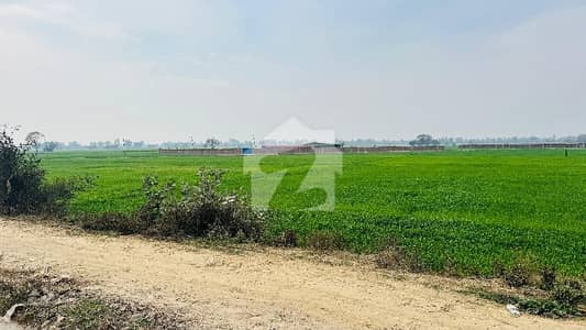بیدیاں روڈ لاہور میں 48 کنال زرعی زمین 12.0 کروڑ میں برائے فروخت۔