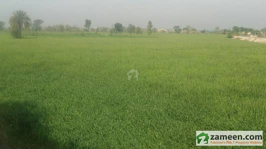 VVIP Agricultural Land For Sale