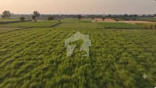 Lahore Organic Farms Society Located on Main Barki Road, Lahore.