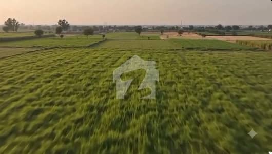 Lahore Organic Farms Society Located on Main Barki Road, Lahore.
