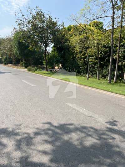 ڈی ایچ اے فیز 5 - بلاک ایل ڈی ایچ اے فیز 5,ڈی ایچ اے ڈیفینس,لاہور میں 4 کنال رہائشی پلاٹ 37.0 کروڑ میں برائے فروخت۔