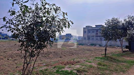 1+1 Pair Close to Park Back of Main Road Available in Phase 6 Block D In Numbering Double digit pls contact for any requirement fair deal InshAllah